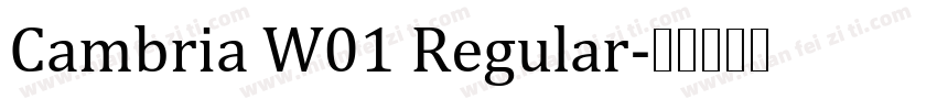 Cambria W01 Regular字体转换